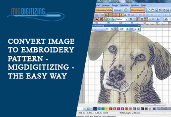 Convert-Image-To-Embroidery-pattern-Migdigitizing-The-Easy-Way